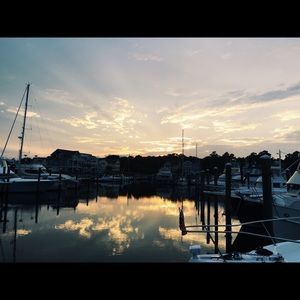 Meet your Posher, Fiona